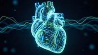 Digital holographic human heart with glowing blue and green light effects on dark background for medical technology and healthcare concepts.