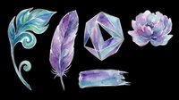 Watercolor feathers and flower elements isolated on transparent background. Ready for t-shirt design, clipart, stickers, sublimation and print-on-demand projects.
