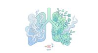 Clean air concept with lungs showing pollution transformation to fresh oxygen through natural plant filtration on white background.