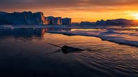 Dramatic coastal landscape at golden hour with towering sea cliffs, golden sunlight reflecting on wet sand and shallow waters, perfect for travel and nature backgrounds.