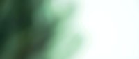Abstract green gradient background with soft blurred light effects and smooth color transitions for modern design projects and presentations.