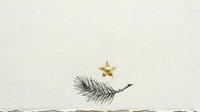 Minimalist holiday composition featuring a dark feather and golden star on neutral beige background, suitable for festive greeting cards and seasonal design projects.