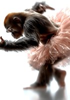 Graceful gorilla wearing pink tutu performs ballet pose against white background, combining strength and delicacy in surreal artistic composition.