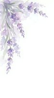 Watercolor lavender branches with purple flowers on white background for wedding invitations, greeting cards and romantic design projects.