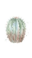 Watercolor cactus with soft green and pink tones, isolated on white background. Suitable for botanical designs, home decor, and nature-themed projects.