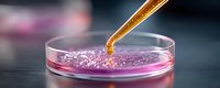 Laboratory pipette dropping orange liquid into pink culture medium in petri dish against dark background, scientific research and biotechnology concept.