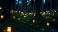 Glowing lanterns illuminate mystical forest floor at dusk, creating magical atmosphere among tall pine trees with scattered lights and moss-covered ground.