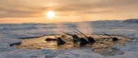 Abandoned fishing boat trapped in frozen Arctic sea ice during golden hour sunset with dramatic sky and snow-covered landscape in polar wilderness.