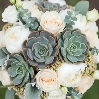 Elegant wedding bouquet with cream roses, green succulents and eucalyptus leaves for bridal ceremonies and romantic celebrations.