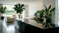 Modern minimalist living room interior with lush green plants, neutral furniture, and natural light creating serene contemporary home atmosphere.