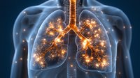 Glowing human lungs with illuminated bronchial tree and alveoli in translucent blue torso showing respiratory system anatomy and pulmonary structure.