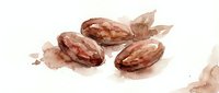 Watercolor illustration of three cocoa pods with brown tones on white background, isolated and ready for culinary, agricultural, and design projects.