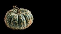 Green and teal pumpkin with textured mottled skin, isolated on transparent background. Ready for fall clipart, stickers, t-shirt design, and print on demand use.