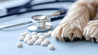 Dog paw next to scattered white medical pills and stethoscope on blue background, veterinary medicine and pet healthcare concept.