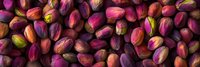 Fresh colorful pistachio nuts scattered on dark background, vibrant pink and purple hues create appetizing food composition for healthy snacking concept.
