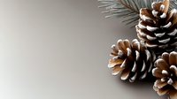 Snow-covered pine cones and silver fir branches on neutral beige background with copy space. Winter holiday seasonal composition for festive designs.