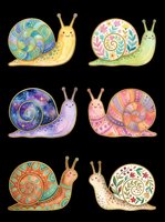Colorful decorative snails with patterned shells isolated on transparent background, ready for t-shirt design, clipart, stickers, sublimation and print-on-demand projects.