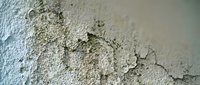 Cracked and peeling paint on weathered concrete wall showing deterioration and aging damage requiring maintenance and repair work.