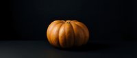 Orange pumpkin on dark background for autumn harvest decoration and seasonal design projects.