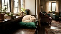Fluffy white cat sleeping curled up on a green velvet cushion by a sunlit window in a cozy vintage living room.