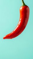 Fresh red chili pepper isolated on turquoise background, ready for culinary, food packaging, recipe, and cooking design projects.