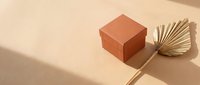 Terracotta gift box with dried palm leaf fan on beige background, natural shadows, minimal boho style for product presentation.
