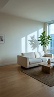 Minimalist living room with cream upholstered sofa, wooden coffee table, potted plant casting shadow on white wall, hardwood flooring, and natural light from large window for interior design and home decor projects.