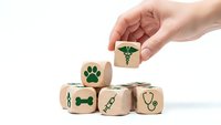 Hand placing wooden cube with veterinary caduceus symbol among blocks featuring pet care icons on white background for animal health concepts.