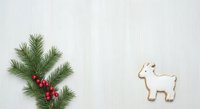 Young llama alpaca gingerbread cookie with white icing isolated on wooden background next to evergreen branch with red berries for holiday baking and festive decoration projects.