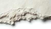 Torn and ripped beige paper edge with jagged texture and white background, suitable for design overlays, backgrounds, and creative projects.