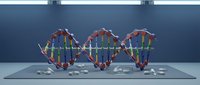 DNA double helix molecular structure with colorful genetic code strands on laboratory table for biotechnology research and medical science education.