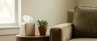 Cozy living room corner with tissue box, small potted plant on wooden side table, and olive green armchair near a bright window.