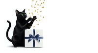 Black cat playing with golden stars and white gift box with blue ribbon on white background, isolated for holiday designs.