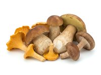 Assorted fresh mushrooms including golden chanterelles, brown caps, and white varieties isolated on white background, suitable for culinary, food photography, recipe, and cooking design projects.