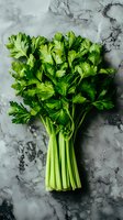 Fresh green celery bunch with bright leaves on marble background, top view. Natural organic produce for healthy eating and cooking.