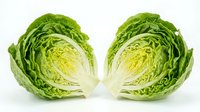 Fresh green cabbage cut in half showing detailed inner layers and crisp texture on white background isolated for healthy cooking and nutrition concepts.
