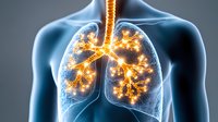 Glowing human lungs visualization showing respiratory system with bright orange bronchi and alveoli inside translucent blue anatomical torso for medical education.