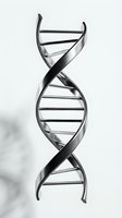 Double helix DNA molecular structure model isolated on white background, suitable for scientific research, genetics, biotechnology, and medical education materials.