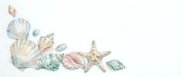 Watercolor seashells, starfish, and pearls arranged on white background for coastal design, invitations, and marine-themed projects.