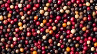 Colorful mix of rainbow peppercorns background with black, pink, white, and red dried berries creating natural spice pattern texture for cooking design.