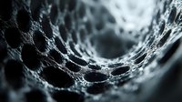 Delicate spider web covered in morning dew drops creates intricate pattern of silvery threads against dark background, macro photography reveals nature's geometric design.