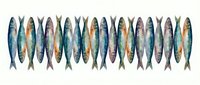Watercolor sardines arranged in two rows on white background, colorful fish pattern for prints, posters, kitchen decor, and textile design.