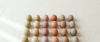 Colorful wooden beads arranged in neat rows displaying natural earth tones from cream to brown, perfect for crafting and jewelry making projects.