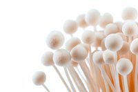 Delicate white mushrooms with long thin stems clustered together in soft focus against light background, creating ethereal botanical macro composition.