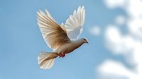 White dove flying against blue sky with spread wings and tail feathers, soft clouds in background creating peaceful atmospheric scene.