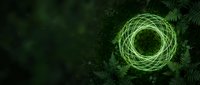 Glowing green geometric circle with neon lines on dark nature background with fern leaves, suitable for technology, science, and digital design projects.