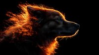Dramatic side profile of dark wolf with glowing orange fire effect around fur against black background, mystical fantasy art style digital illustration.