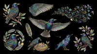 Hummingbird collection with iridescent plumage, wings in flight, perched poses, nests, feathers, and botanical foliage elements isolated on transparent background. Ready for t-shirt designs, clipart, stickers, sublimation, and print-on-demand projects.