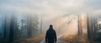 Person walking alone through misty forest path with dramatic sunlight breaking through tall trees creating atmospheric woodland scene for meditation concepts.