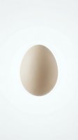Single brown chicken egg isolated on white background for cooking and baking projects.